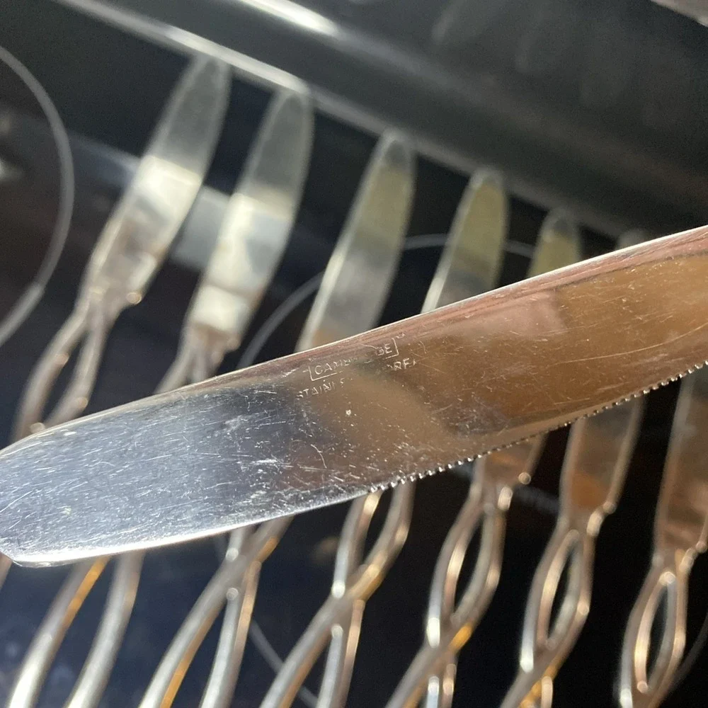 Cambridge Allusion Infinity 24‎ Pc Lot 11 Knives 13 Larger Spoons